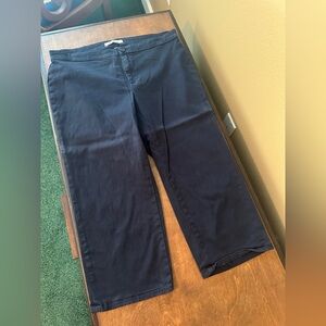 Lila Ryan Cropped Chino Pants - Size 16